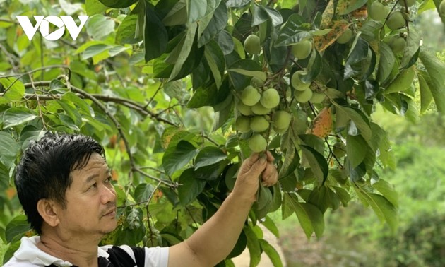 คุณลุงชาวไตทุ่มเทพัฒนาการเกษตรเพื่อสร้างฐานะในเขตชายแดน