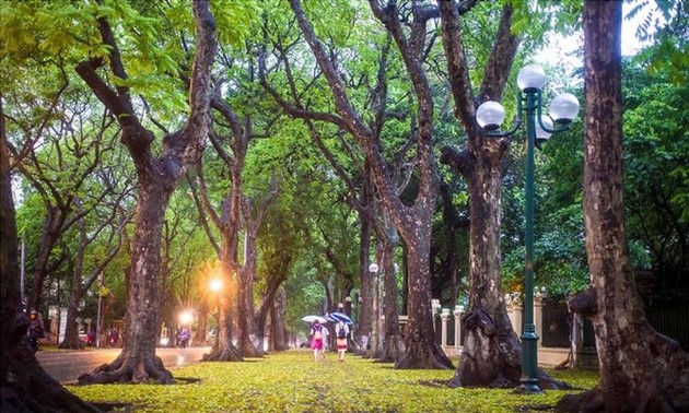 ตอบจดหมายท่านผู้ฟังวันที่ 29 มีนาคมปี 2025