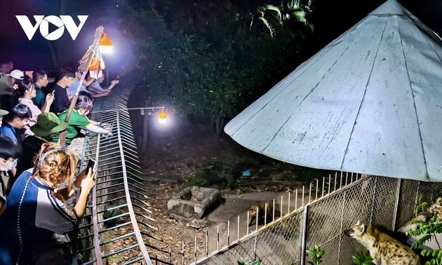 ทัวร์พิเศษชมสัตว์ตอนกลางคืนในสวนสัตว์ถาวเกิ่มเวียนไซ่ง่อน