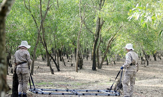 “ดอกกุหลาบเหล็ก” ในทีมเก็บกู้กับระเบิดหญิงที่จังหวัดกว๋างจิ