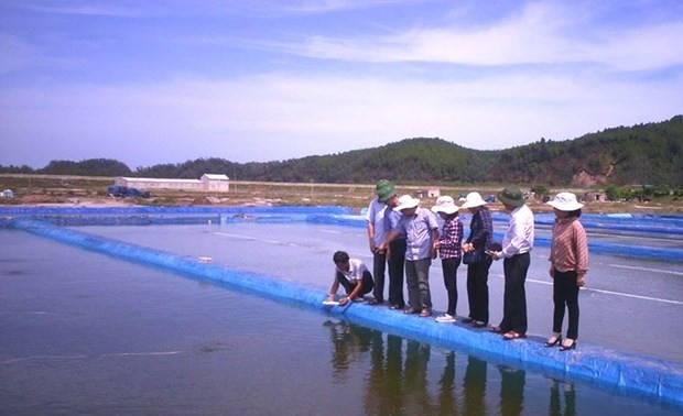 Vietnamese hard clams become world first to win ASC certificate