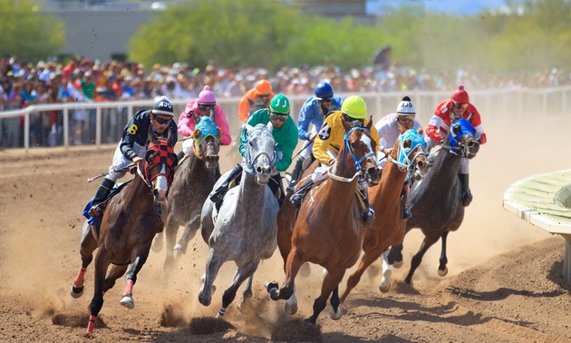 First horse racetrack complex to be built in Hanoi