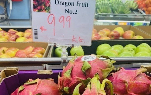 Vietnamese dragon fruit rated five stars in Australia