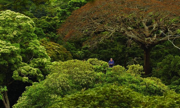 First nature film festival takes place in Viet Nam