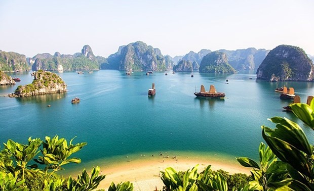 Vietnam among most searched tourist destinations on Google by Australians