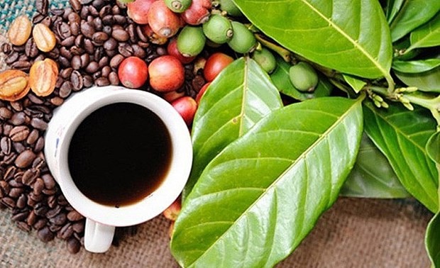 Buon Ma Thuot Coffee Festival 2023 to take place in March