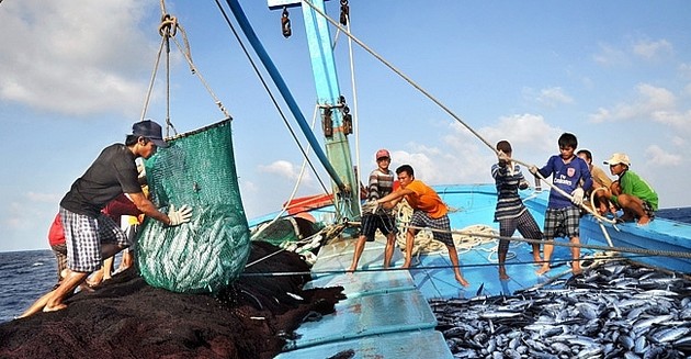 Vietnam issues plan of action, strives to put an end to IUU fishing