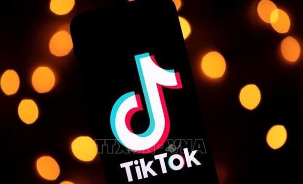 Ministry plans inspection of TikTok in May 