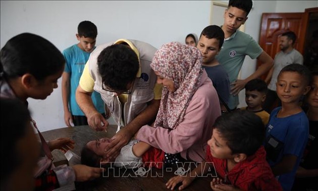 WHO: 161,000 children receive polio jabs in Gaza 