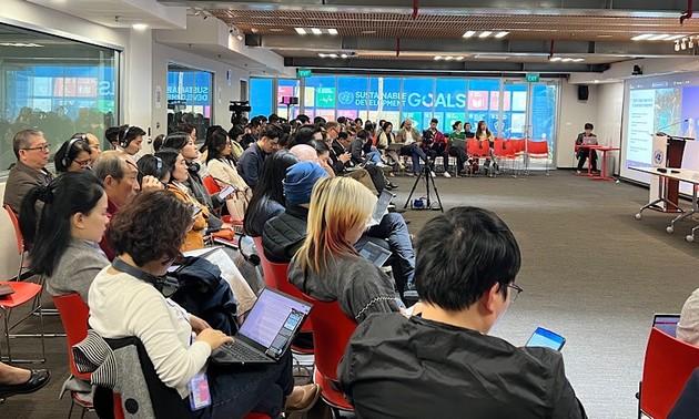 Seminar discusses digital capacity, AI application in public sector
