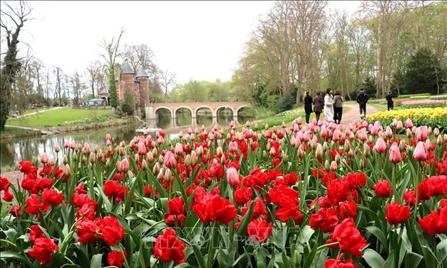 21st Floralia Brussels Spring Flower Festival attracts large crowds 