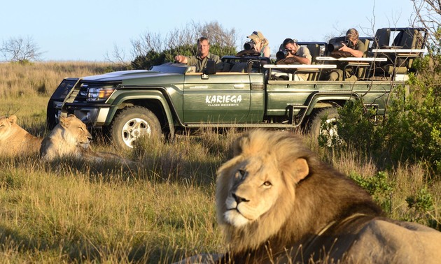 Exploring South Africa