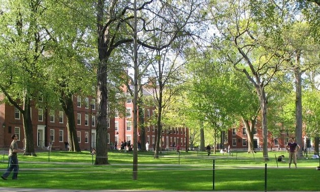 Trump defends attempt to ban Harvard from accepting international students