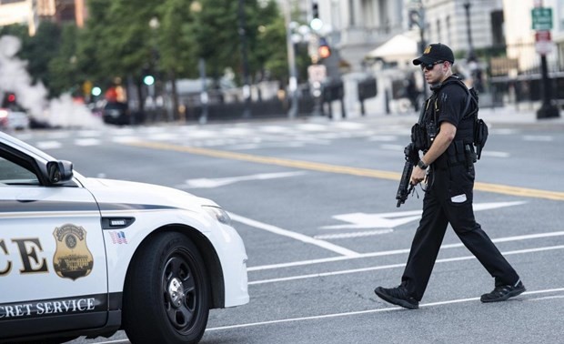 11 injured in stabbing at a Michigan Walmart 