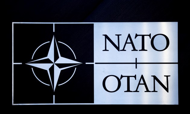 NATO members show support for Poland