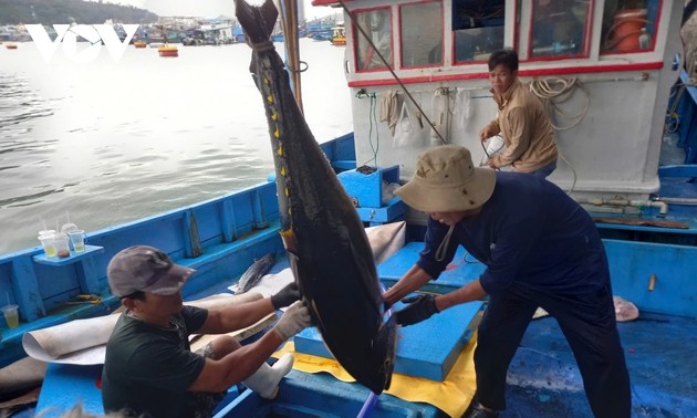 Truong Sa fishermen reap early-year gains 