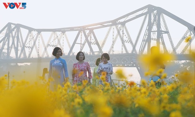 Thousands of flowers bloom under iconic Long Bien Bridge