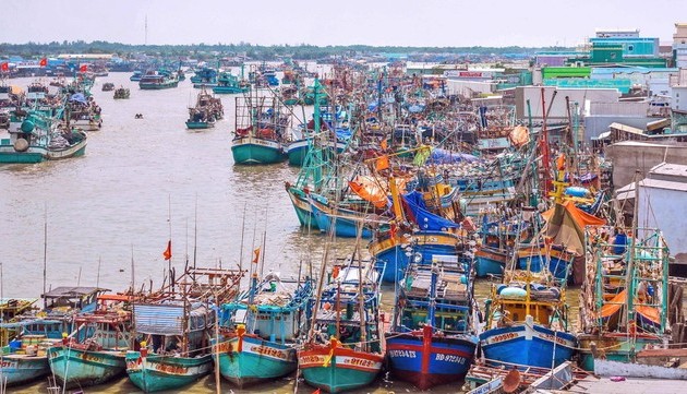 Việt Nam có nhiều chuyển biến tích cực trong gỡ “thẻ vàng” IUU