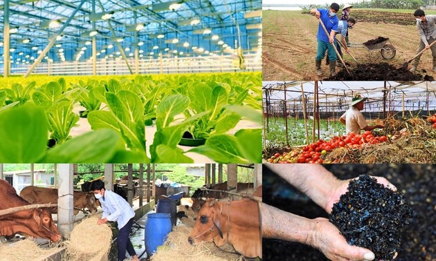 Thúc đẩy kinh tế tuần hoàn trong lĩnh vực nông nghiệp
