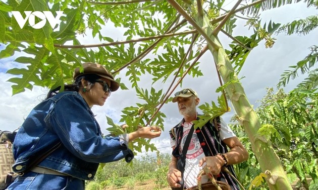 Du lịch buôn làng Ê Đê trên hành trình hội nhập quốc tế