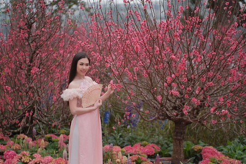 Thạc sĩ âm nhạc Phạm Hà My: Khi “Về nhà” là một khởi đầu mới   