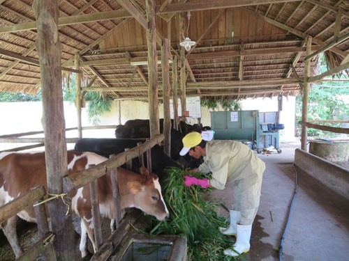 គោលដៅកាត់បន្ថយភាពក្រីក្រ ផ្សារភ្ជាប់ជាមួយសុខុមាលភាពសង្គម។