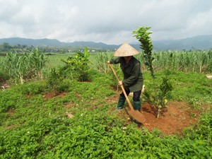 高峰县动员全民力量建设新农村