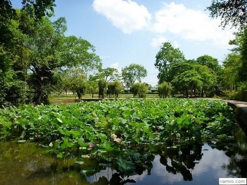 សកម្មភាពជាច្រើនឆ្ពោះទៅរំលឹកខួបអនុស្សវរីយ៍លើកទី ១២៧ នៃទិវាកំណើតលោកប្រធានហូជីមិញ