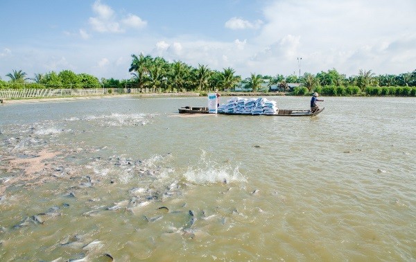 វៀតណាមខំប្រឹងប្រែងដល់ឆ្នាំ២០២០តម្លៃនាំចេញជលផលទទួលបាន៨ដល់៩ពាន់លានដុល្លារអាមេរិក