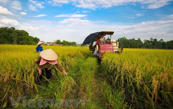 ប្រកាសសៀវភៅ “សេដ្ឋកិច្ចបៃតងសំរាប់ការអភិវឌ្ឍដោយចីរភាពក្នុងបរិបទ បម្រែបម្រួលអាកាសធាតុ”