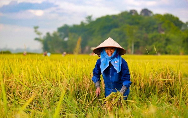 ពិធីបើកមហាសន្និបាតតំណាងទូទាំងប្រទេសនៃសមាគមកសិករវៀតណាមលើកទី៧