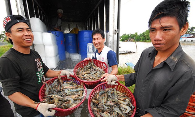 ជលផលវៀតណាមដាក់ចេញគោលដៅនាំចេញ ១០ ពាន់លានដុល្លារអាមេរិក