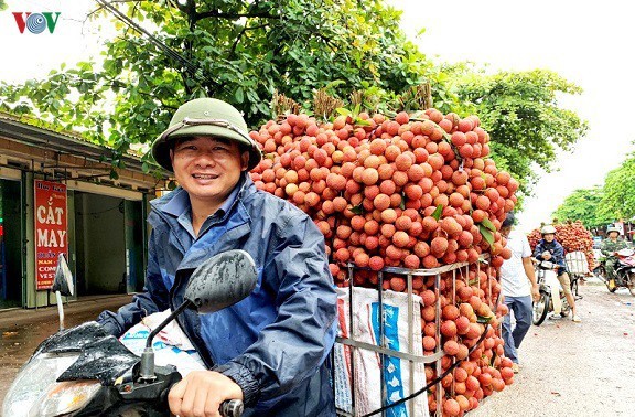 ផ្លែឈើវៀតណាមបន្តឈានចូលក្នុងទីផ្សារពិបាកជាច្រើន