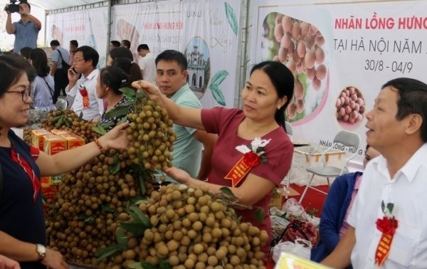 ខេត្ត Hung Yen បង្កើនសកម្មភាព«ជំរុញការលក់ចេញកសិផល»