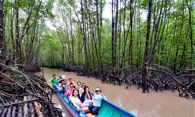 ប្រជាជនខេត្ត Ca Mau ឈានឡើងពីដើមកោងកាង