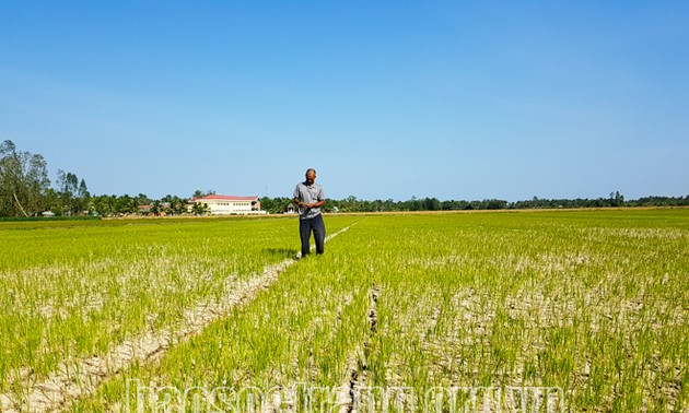 ខេត្ត Soc Trang ទប់ទល់នឹងស្ថានភាពជ្រាបចូលទឹកប្រៃដើម្បីការពារស្រូវរដូវសម្រាក