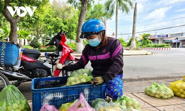 ស្រុក Thap Muoi ខេត្ត Dong Thap ស្វែងរកទិសដៅបញ្ចេញលក់​កសិផល​ជូនប្រជាជន