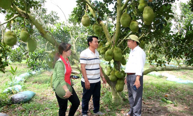 បងប្អូនជនជាតិភាគតិចរួចផុតពីភាពក្រីក្រ អាំស្រ័យលើការផ្ទេរប្ដូរចំ​រចនាសម្ព័ន្ធ​​ដាំណាំដាំដុះ