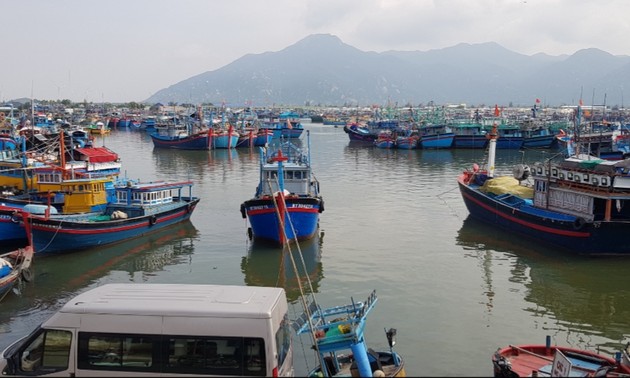 ប្រជានេសាទនៅភូមិ Ca Na ខេត្ត Ninh Thuan ច្បាមជាប់លំហសមុទ្រ