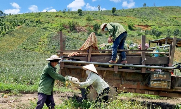 ប្រសិទ្ធ​ភាព​ពី​ការផ្លាស់ប្ដូរ​ដំណាំដាំដុះ និងសត្វចិញ្ចឹម រួមជាមួយ​ការប្រើប្រាស់​ទុន​កម្ចី​អនុគ្រោះនៅឃុំ​ដាច់ស្រយាល Cu Dram (Dak Lak)