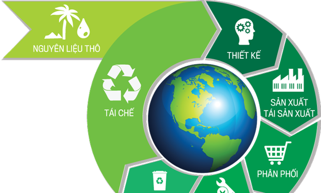 Pilot mechanism for circular economy  