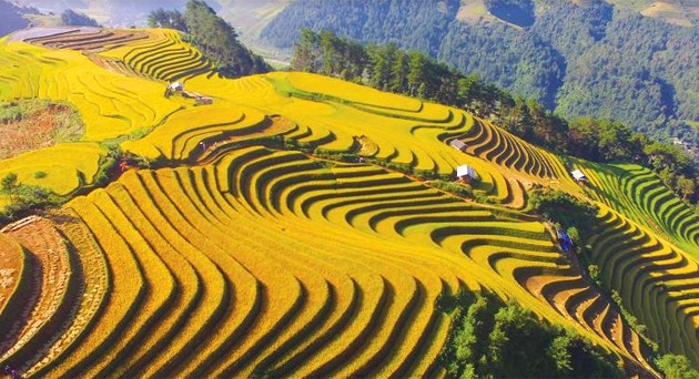 รายการตอบจดหมายท่านผู้ฟังวันที่ 24 กันยายน