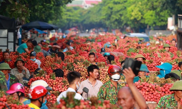  รายการตอบจดหมายท่านผู้ฟังวันที่ 28 มิถุนายน