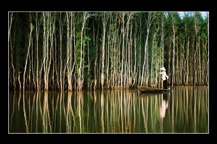 Tour of Mekong River Delta in flood season