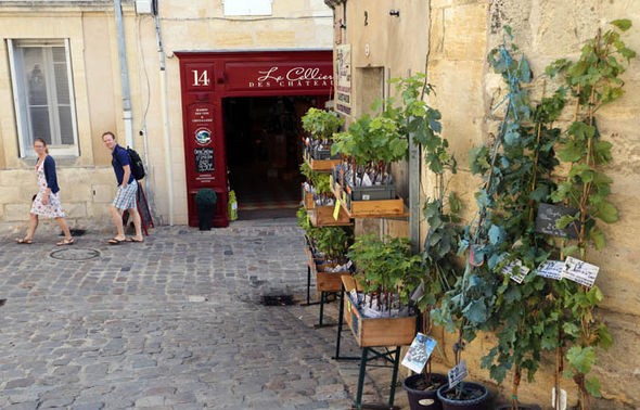 Saint-Emilion, heaven of French wine