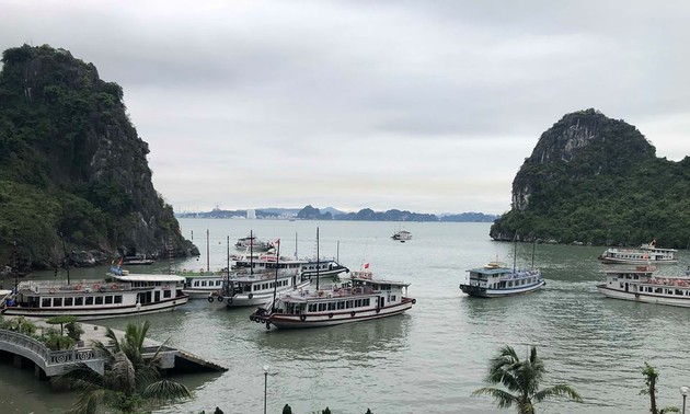 Vietnam among hottest destinations for US travelers in 2019