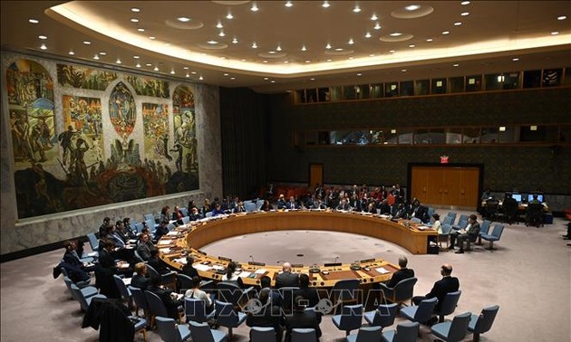 UNSC discusses Kosovo mission’s operation