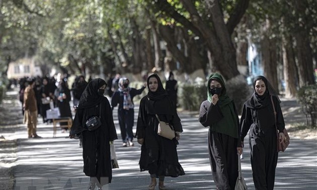 Taliban suspend university education for women in Afghanistan