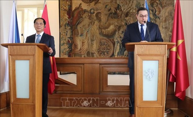 Vietnam treasures friendship, comprehensive cooperation with Czech Republic: FM