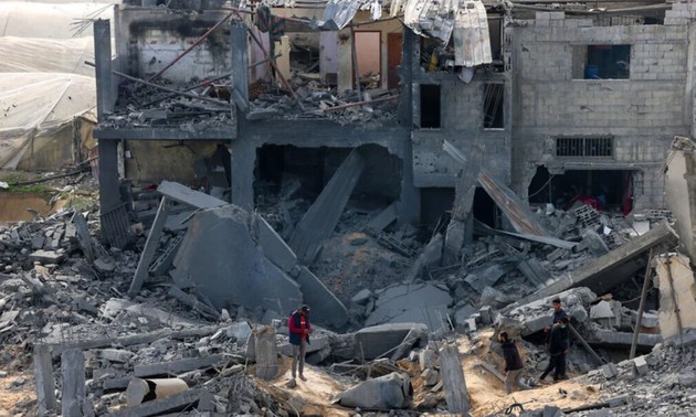 WHO head concerned at attacks on Gaza's Rafah